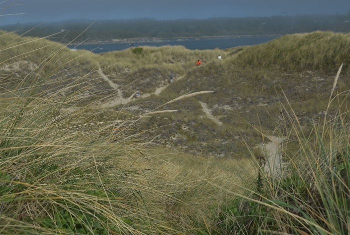 jetty dunes